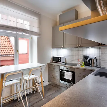 Old Marstalu Rooftop 3 Bedroom * 리가